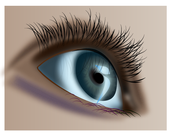 How to do human drawing , illustrate an eye with details vector tutorial