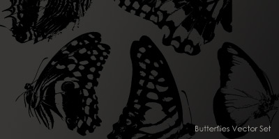 butterflies Free illustration : Butterflies